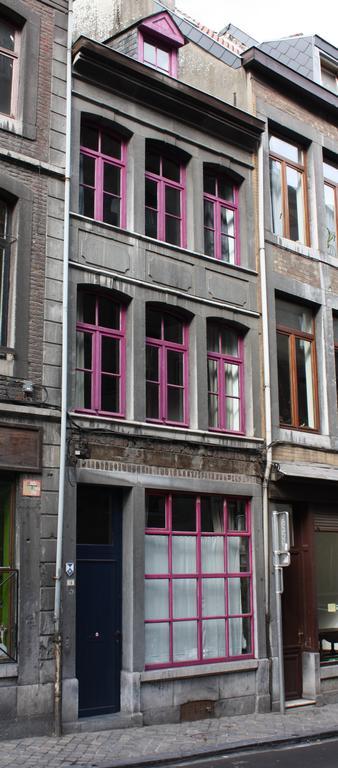 Le Chat Maudit De Maryse Villa Lieja Exterior foto